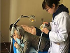 上海慧享福养老服务有限公司——您身边的苏州特色养老及上海居家养老专家