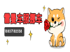 郑州黑猫代理商需要经过磨练？