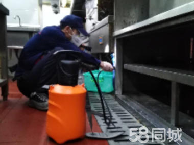 常熟沙家浜除虫除蚁除甲醛52685979_0