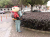 评价高的灭蚊子的小妙招有害生物防制服务