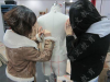 南京服装设计培训班 南京零基础可以学服装设计