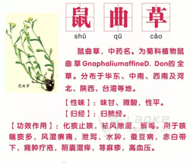 鼠年即将到来，细数中药里的“鼠”辈_1