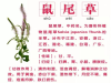 資產轉讓-旺角食廠牌工作室