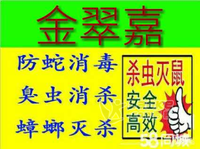 惠州专业除白蚁公司_0