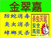 惠州专业除白蚁公司
