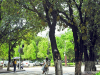 广西民族大学函授报名
