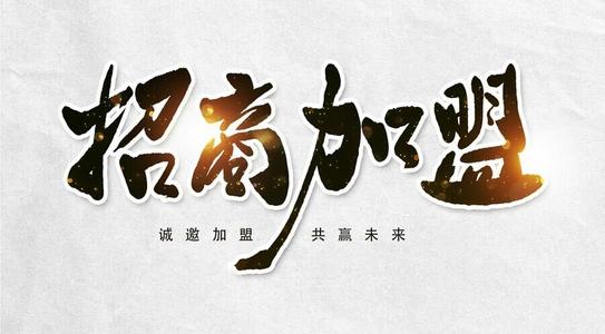 纯手宏盛国际招商加盟条件预留6美金_0