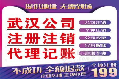 武昌代理记账_武昌记账代理流程_0