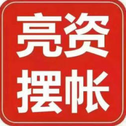 全国大额资金方 亮资验资 摆账显账_1