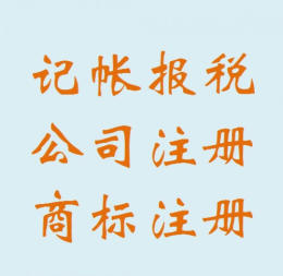 税务审计报告，专项审计，代理记账，税务咨询_1