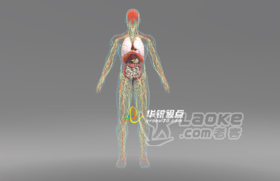 广州华锐互动:vr全景展示有什么作用?它可以与哪些行业结合?_3