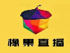 橡果直播诚招合伙人 日结高返点