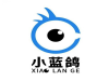 小蓝鸽淘宝客系统搭建，淘宝客app开发，淘客app源码