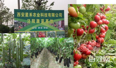 为西安区域食堂解决问题，食堂一站式配送_3