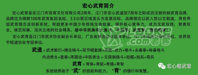 好消息！江门宏心武育爱心公益行，武术散打搏击开抢啦_2