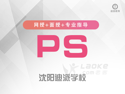 沈阳迪派PS0基础学习_0