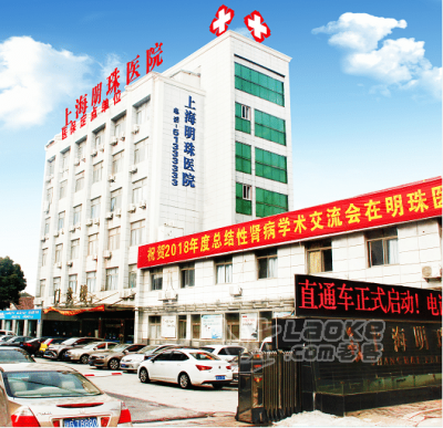 上海明珠医院 肾病综合症中医怎么治疗的？_0