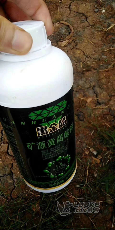 辽宁葫芦岛黄腐酸钾价格和作用黑金晶矿源黄腐酸钾效果好吗_1