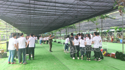 深圳农家乐深圳周边游周末出游最佳去处深圳九龙生态园_1