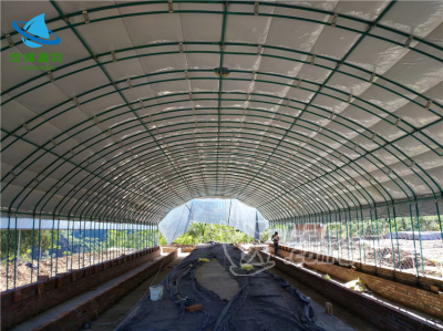 养鸡大棚建设 养猪大棚搭建 养殖大棚建设_0