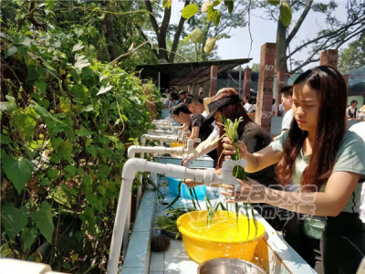 公司游玩该怎么选择农家乐深圳宝安田中园_1