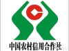 哈尔滨车辆无抵押贷款