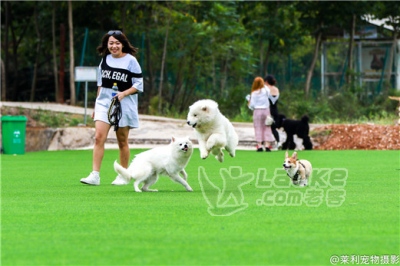 汉阳公司素质培训挑哪儿这个景点活动项目多还等什么_0