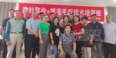 【微针取栓】挑羊毛疔截根疗法 针灸三大技术综合研修班_1