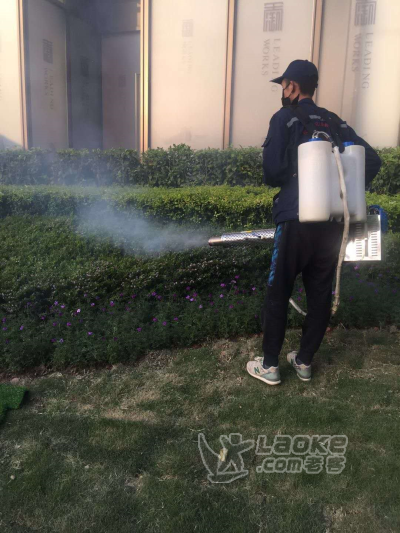 资中灭蚂蚁公司，资中灭飞蚂蚁公司，资中除白蚂蚁公司_2