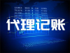 苏州代理记账税务申报 税务筹划 一般纳税人
