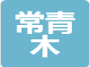 常青木建设工程有限公司