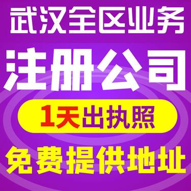 黄陂代理记账-工商年检-报送及时_3
