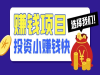 有什么低成本的创业项目？