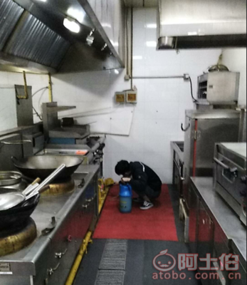 吉林市专业灭蟑螂_1