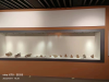 博物馆展示和展柜生产设计原厂家-隆城博具